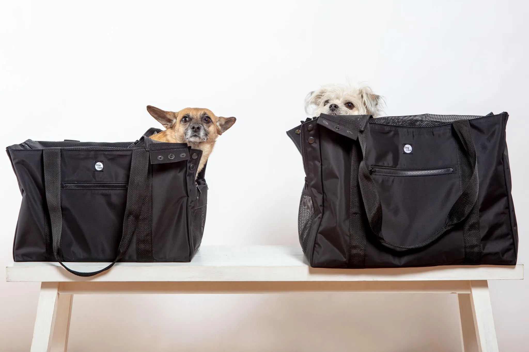 Around-Town Dog Carrier <br>(Made in the USA)